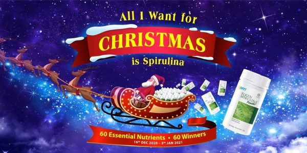 2020_Christmas_Landing-Page_06